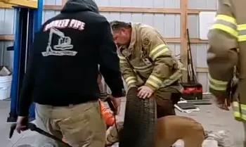 JUST IN: New Jersey came to the rescue of a dog who got stuck in a spare tire.