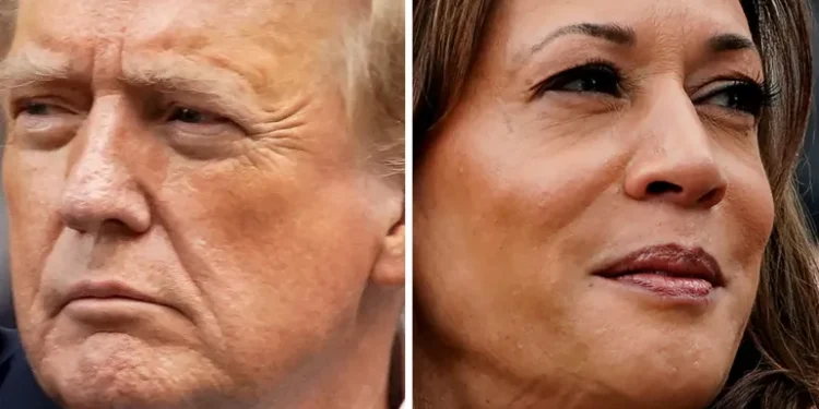 US election: 10 days left – What polls say, what Harris and Trump are up to