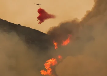 SHOCKING: 8 California firefighters Just injured in freeway rollover after battling Airport Fire