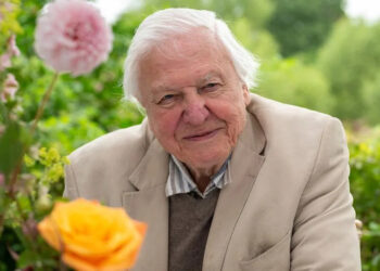 Sir David Attenborough unrecognisable in ‘hunky’ throwback photos