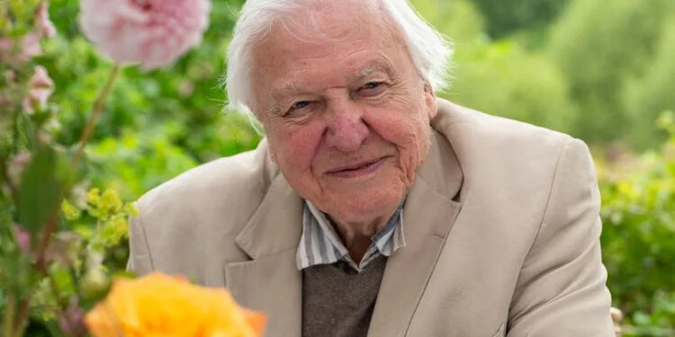 Sir David Attenborough unrecognisable in ‘hunky’ throwback photos