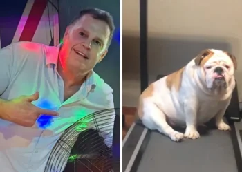 ‘So cute!’ – Rassie Erasmus’ post of his dog Frank gets fans excited due to…