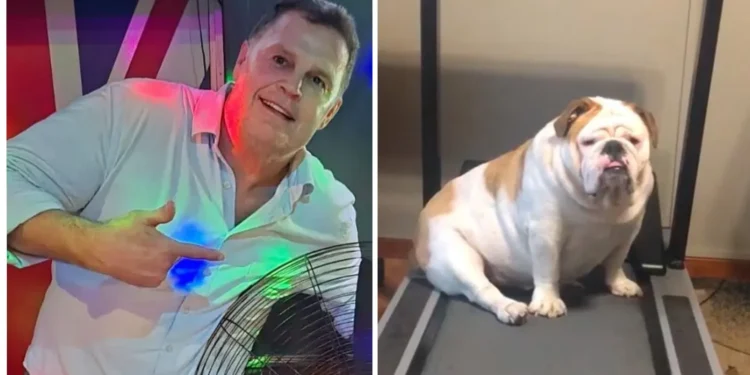 ‘So cute!’ – Rassie Erasmus’ post of his dog Frank gets fans excited due to…