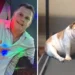 ‘So cute!’ – Rassie Erasmus’ post of his dog Frank gets fans excited due to…