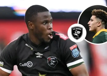 Sharks player ratings: Springboks rookie excels despite defeat as Aphelele Fassi’s great 2024 comes to a ‘sad end.