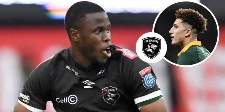 Sharks player ratings: Springboks rookie excels despite defeat as Aphelele Fassi’s great 2024 comes to a ‘sad end.