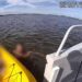A kayaker faints and plunges into a Florida Intracoastal Waterway.