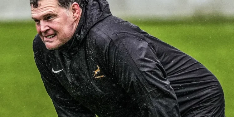 THE BIG QUESTION: Who will eventually replace Rassie Erasmus as Springbok coach?