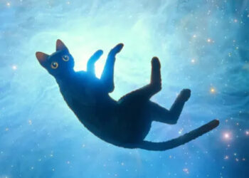 What is Flow, the animated indie movie that beat Disney to the Golden Globe?