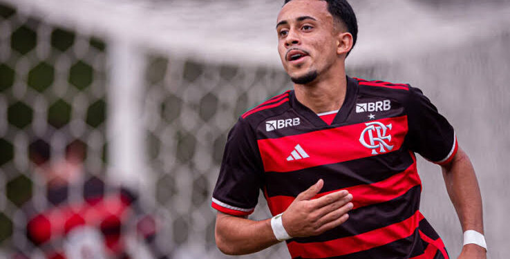 разилският атакуващ полузащитник, роден през 2005 г. Матейуш Гонкалвеш Мартинс, прие предложението на ЦСКА София, младата звезда ще носи номер 8