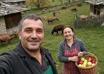 От Скромен почва България 🇧🇬, Жътва от щастие и малко помощ биха сбъднали мечтите ни!. Научете повече на 👇👇👇