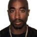 7 Tupac Shakur Songs Yet to Be Released, Now Release Date Is Out, as His Last Song Reviewed Many Secrets About His…