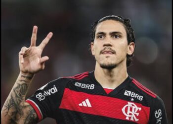 Левски София си осигурява бразилски и “фламинго” нападател Пело със свободен трансфер, от “фламинго” преди януарския трансферен прозорец