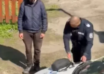 Администрацията и трафикантите в Пловдив могат да намалят щетите със седем… Виж още