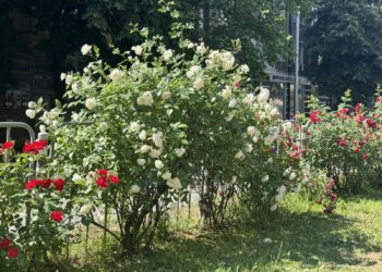 Предимно слънчево време утре, но пак на места ще вали