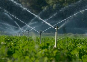 România: EPPO pune sub acuzare cinci persoane fizice și trei companii pentru fraudă în valoare de 850.000 de euro care implică sisteme de irigații