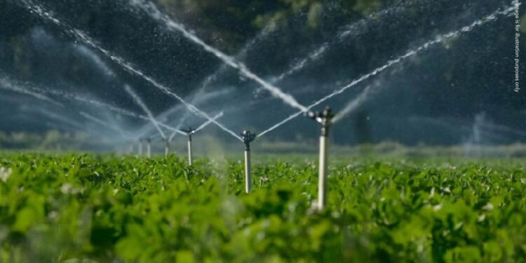 România: EPPO pune sub acuzare cinci persoane fizice și trei companii pentru fraudă în valoare de 850.000 de euro care implică sisteme de irigații